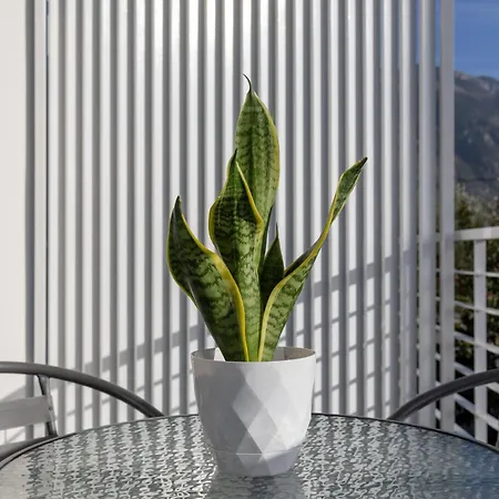 Pagani - Luxury A2 Kalamata