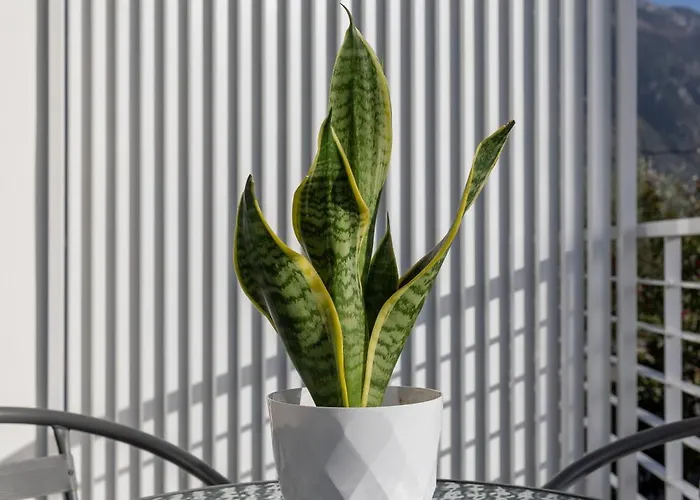 Pagani - Luxury A2 Kalamáta